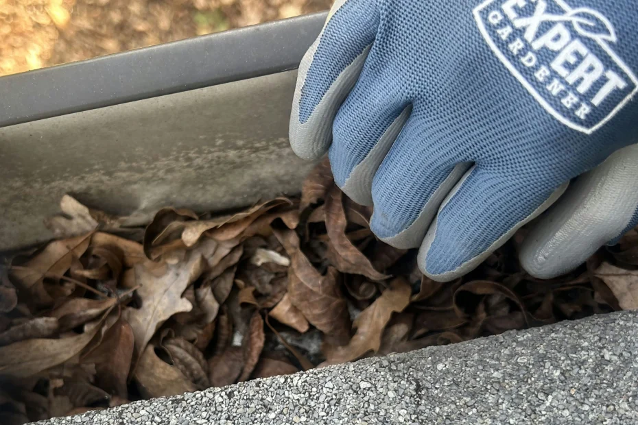 Westlake Gutter Cleaning