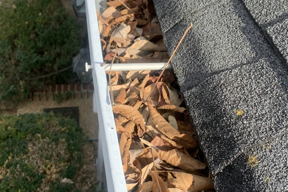 Westlake Gutter Cleaning